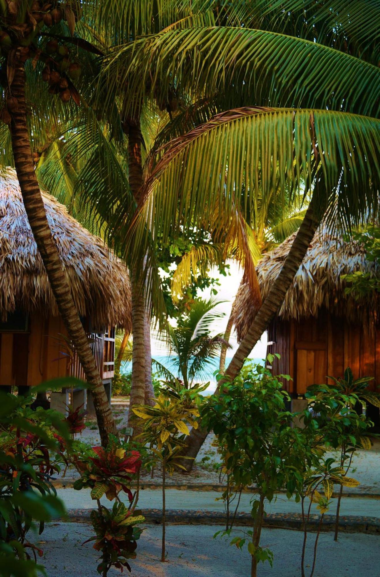St. George'S Caye Resort Πόλη του Μπελίζ Δωμάτιο φωτογραφία