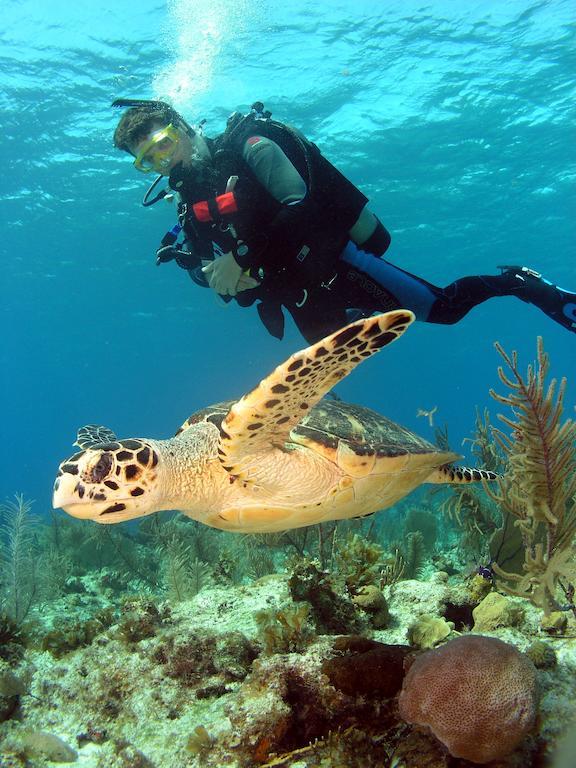 St. George'S Caye Resort Πόλη του Μπελίζ Εξωτερικό φωτογραφία